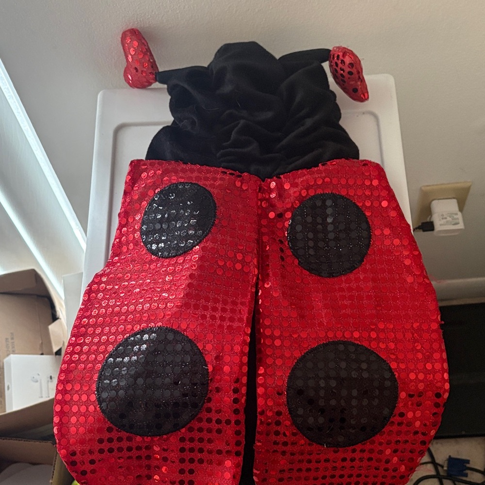 Kids Ladybug Costume Dress with Sequins - Red & Black